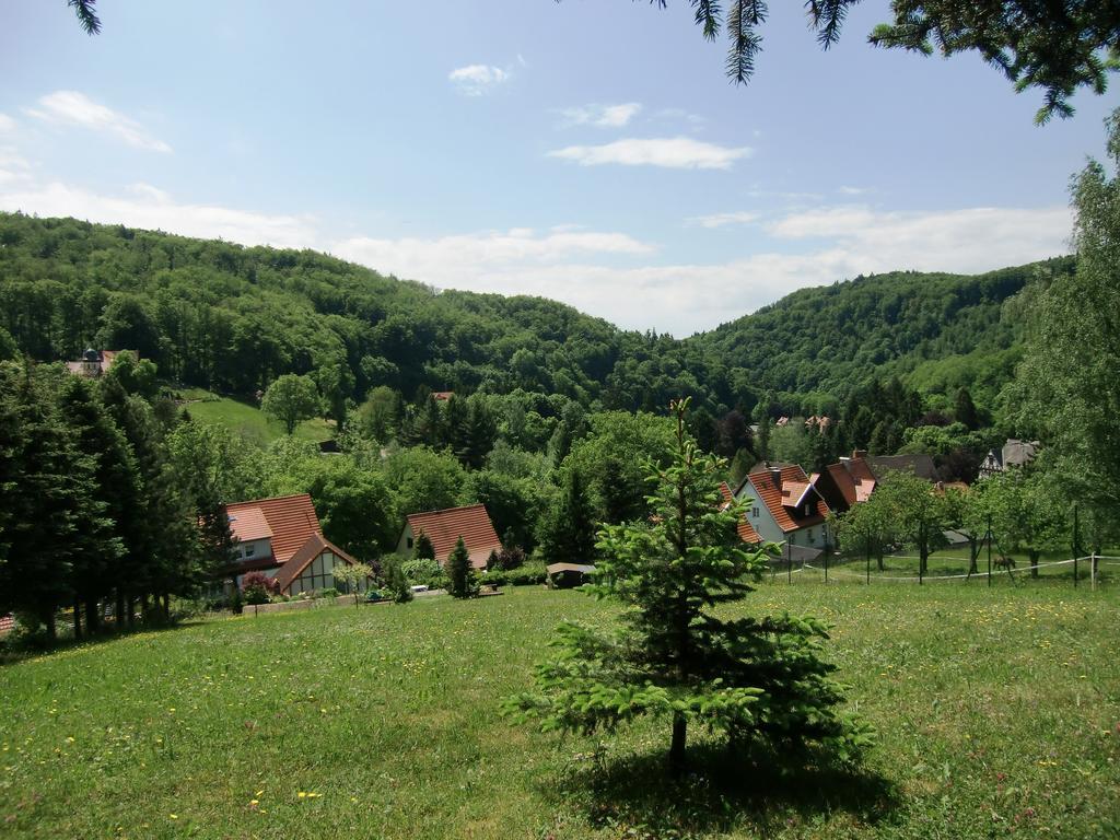 Ferienhaus Haus Am Wald Stolberg i. Harz Kültér fotó
