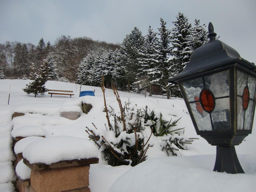 Ferienhaus Haus Am Wald Stolberg i. Harz Kültér fotó